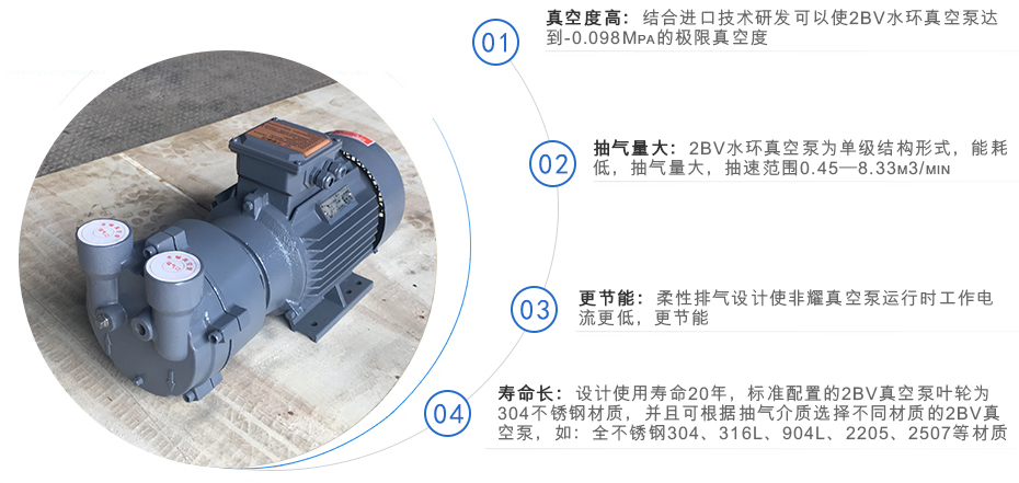 2BV系列水環式真空泵