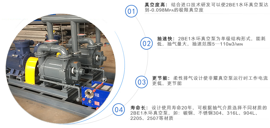 2BE1系列水環式真空泵